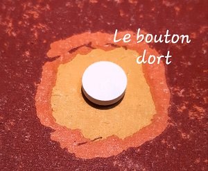 Le BOUTON DORT&nbsp;8/