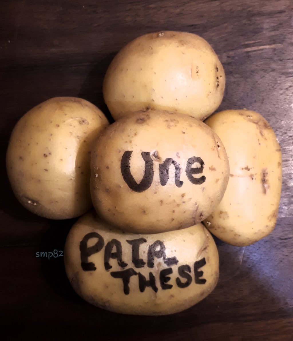 Un essai de&nbsp;PATA-THESE