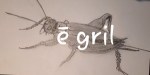 E gril   &laquo;&nbsp;Langue romagnole&nbsp;&raquo;
