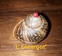 L&rsquo;EHPAD de Damoclès: L&rsquo;Escargot