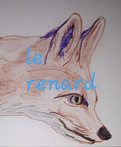 Le renard /14