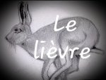 Le LIEVRE /11