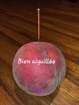 Bien aiguillée, 19